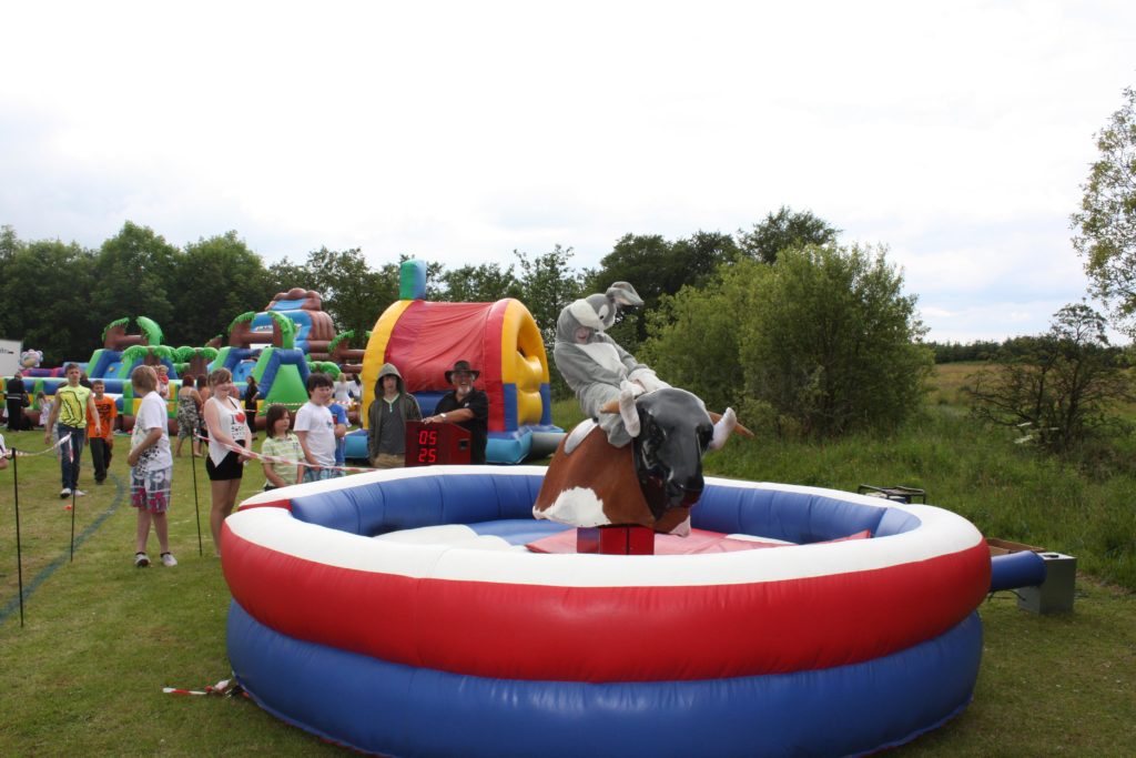 rodeo bull for pool